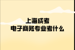 上海成考电子商务专业考什么？