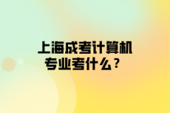 上海成考计算机应用技术专业考什么？