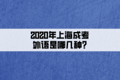 2020年上海成考外语是哪几种?