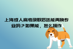 上海成人高考录取后还能再换专业吗？如果能，怎么操作