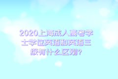 2020上海成人高考学士学位英语和英语三级有什么区别?